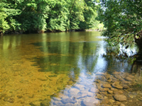 The River Dart, near Ashburton - Places to go in Plymouth