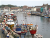 Places to visit in Plymouth and beyond, Weymouth Town Centre